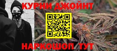 apvp Краснодар