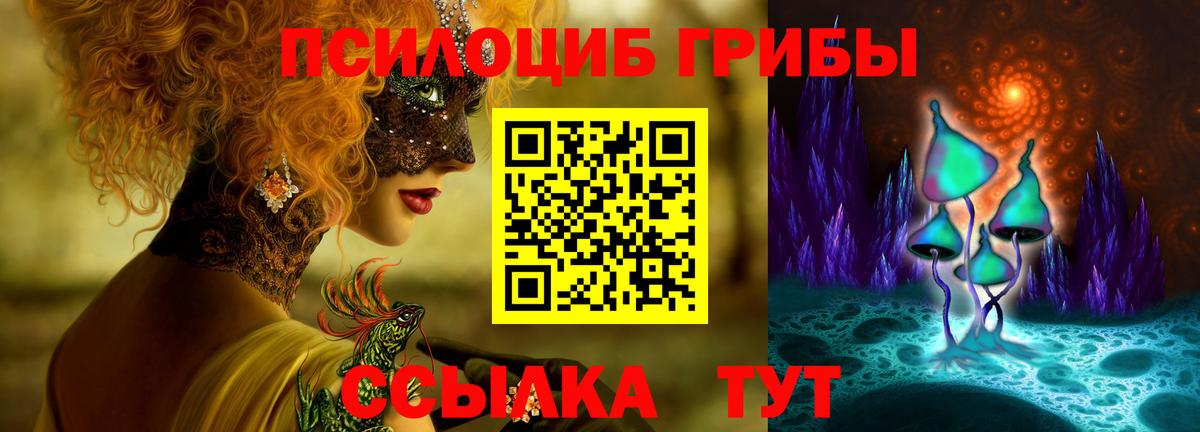 Кингисепп  Псилоцибиновые грибы мухоморы  Вход с VPN 